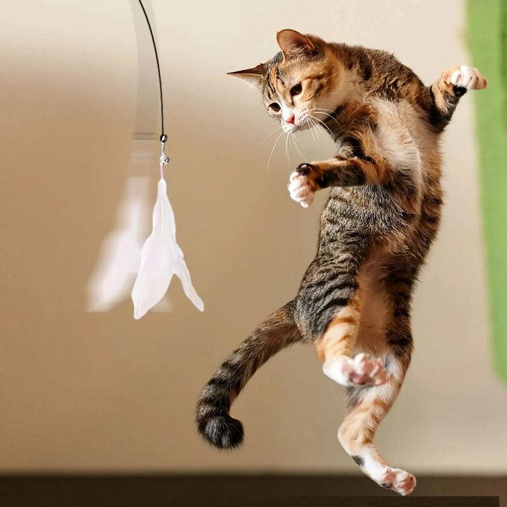 Varita Interactiva para Gatos con Plumas y Campana – Juguete con Ventosa