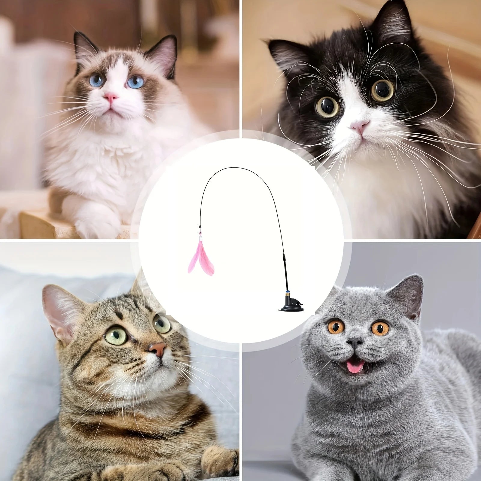 Varita Interactiva para Gatos con Plumas y Campana – Juguete con Ventosa